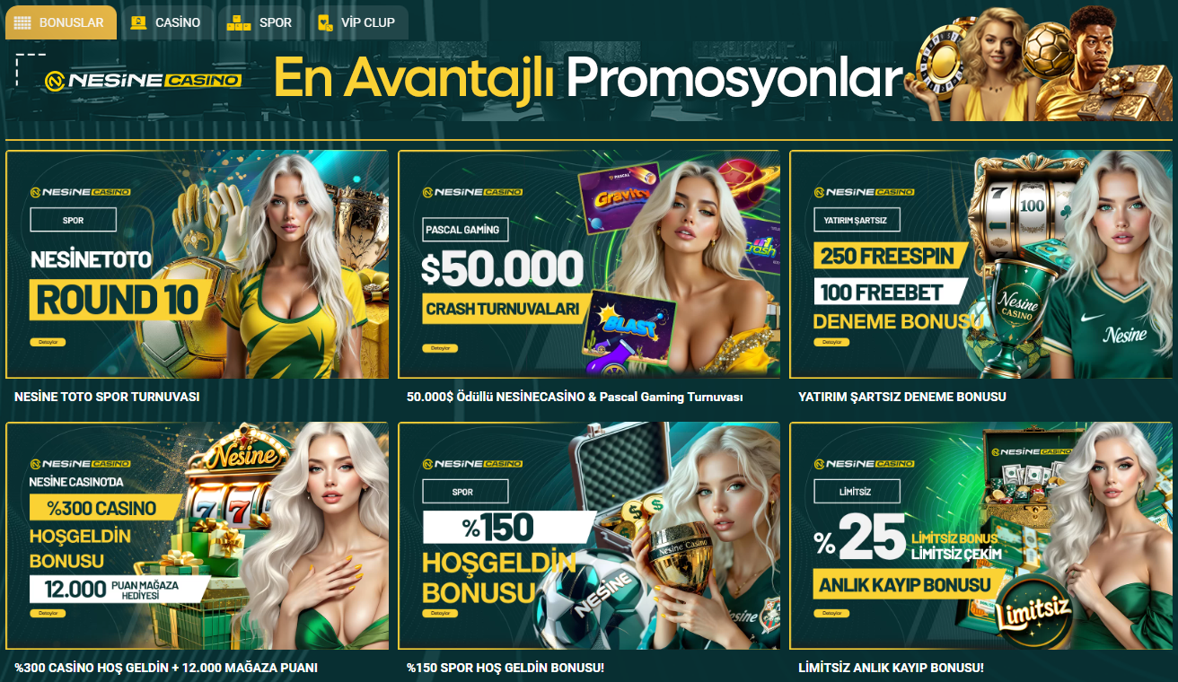 Kampanya ve promosyon sayfası ekran görüntüsü